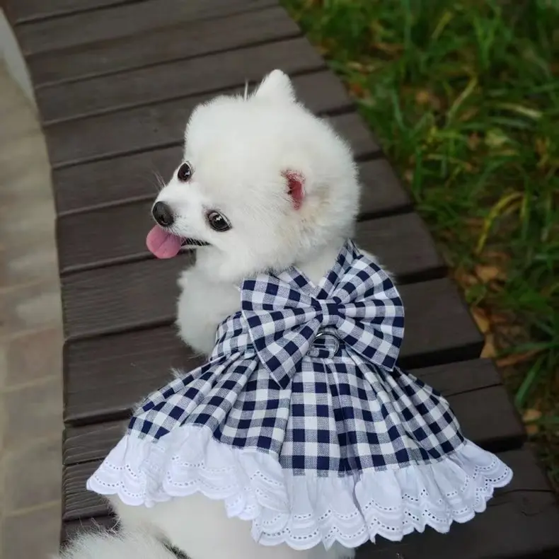 2024 Hunde-Gurtkleid mit Leinenset, süßes buntes Bogen-Hundebekleid weiche Weste Haustierkleidung für Katzen Welpen kleine Hunde
