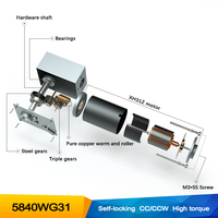 Moteur CC à engrenage à vis sans fin 12V 24V 10 tr/min, couple élevé avec encodeur, aimant permanent à balais 5840-31ZY, faible bruit pour la maison intelligente