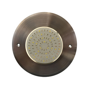 Luces LED Sumergibles para Piscina de 10 W, Ultrafinas, de Acero Inoxidable, IP68, 8 mm, RGBW, 12 V, para Uso en Exteriores - Product Image 1