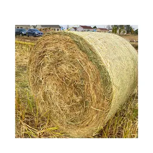 Disesuaikan 1.23*3000M Bale Wrap Hay Bale Net Wrap untuk Pertanian Baler