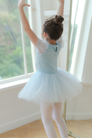 Robe de ballet inspirée des princesses pour filles, robe tutu pour filles, costume de danse pour spectacle