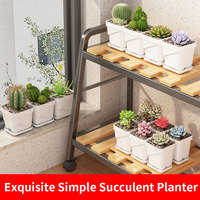 Pot de fleurs carré en plastique, respirant, pour circulation d'air, pour bureau domestique, simple, petit pot pour semis de plantes succulentes