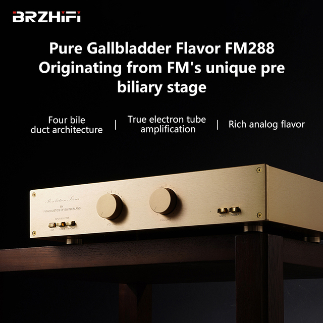 BRZHIFI FM288 High-End Preamplifier Equipped with a Four Bile Ductenlargement System for Hi-Fi Enthusiasts Pure Tube Amplifier