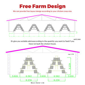 Di alta qualità gabbia di pollo strati di allevamento di pollame un tipo di batteria uovo posa di galline gabbie <span class=keywords><strong>3</strong></span>/4 livelli di gabbia - Product Image 5