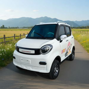 Auto Eléctrico Pequeño de Alto Rendimiento NE, Nuevo Vehículo Eléctrico de 4 Ruedas con Gran Autonomía (101-200 km), Buena Relación Calidad-Precio, Motor de 3000 W - Product Image 4