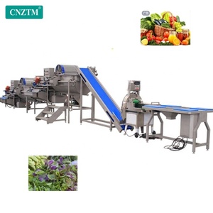 1000 kg/giờ công nghiệp tươi bắp cải cắt lát cắt giặt sấy Máy chế biến đóng gói rau trộn tùy chỉnh - Product Image 4