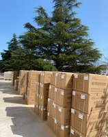 OTDR QX65 1310/1550 nm à large plage dynamique 45 dB, testeur de fibre optique avec zone morte de 0,8 m pour tests de réseau PON FTTH SC
