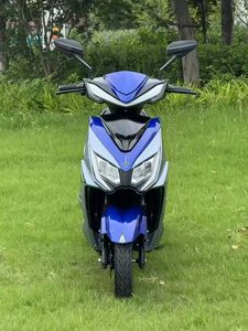 Cyclomoteur électrique adulte haute vitesse 1500w 60v cadre en acier E moto avec frein à disque <span class=keywords><strong>2</strong></span> places mobilité vélo électrique moto - Product Image 2
