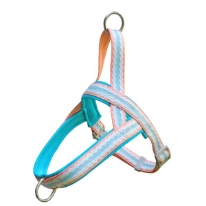 Arnés ajustable para perro, Sillín para el pecho, bonito y colorido, transpirable, de nailon, a rayas, con encaje, conjunto de arnés y correa para mascotas, <span class=keywords><strong>Collar</strong></span> antiescape para perro - Product Image 5