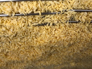 Máquina automática de recubrimiento de migas para hamburguesas, hamburguesas, pollo, pepitas, camarones, pescado, mariscos, pan y carne - Product Image 2
