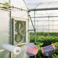 Film plastique pour serre, protection des cultures de tomates et concombres, anti-goutte, couverture transparente
