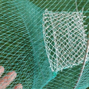 Crevettes Homard Cage Piège Anneau Rond Filet De Pêche Durable PP PE Nylon Acier Acier Inoxydable Cadre <span class=keywords><strong>Crevette</strong></span> Anguille Poisson Autre Vie Marine - Product Image 4