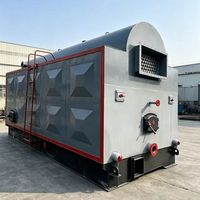 Caldera Industrial de Biomasa, Rendimiento Confiable y Servicio Postventa