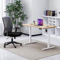 Table de Bureau Relevable Électrique Intelligente Économique à Moteur Unique, Cadre de Bureau Assis-Debout Réglable en Hauteur pour Bureau