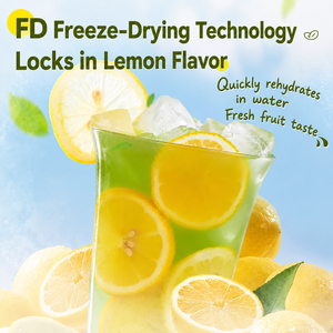 Thé minceur premium saveur <span class=keywords><strong>citron</strong></span> matcha en cubes, thé <span class=keywords><strong>vert</strong></span> lyophilisé FD, tranches <span class=keywords><strong>de</strong></span> <span class=keywords><strong>citron</strong></span> <span class=keywords><strong>de</strong></span> qualité, infusion froide instantanée, OEM, marque privée - Product Image 5