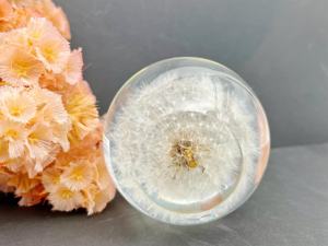 Regalo Originale Unico Fermacarte con Veri Dente di Leone Bianchi Artigianato in Resina Globo Floreale Souvenir per San Valentino e Festività - Product Image 5