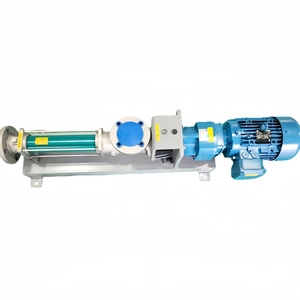 Pompe à vis simple robuste de type G en acier inoxydable et fonte pour boues, avec moteur à roulement à fréquence variable 380V/220V 5kW - Product Image 3