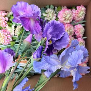 Flor violeta floral de seda artificial grande de <span class=keywords><strong>IRIS</strong></span> morado impreso en 3D DE LA KEWEI-J847 - Product Image 1