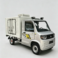 Mini camionnette électrique à quatre roues avec 2 sièges, camion frigorifique à basse vitesse pour le transport en chaîne du froid