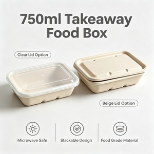 Conteneur alimentaire rectangulaire personnalisé à succès avec couvercle, boîte d'emballage alimentaire jetable pour restaurant à emporter - Product Image 2
