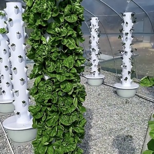 Invernadero Hidropónico, Torres Aeropónicas Verticales, Sistemas de Cultivo en Torre Multinivel - Product Image 1