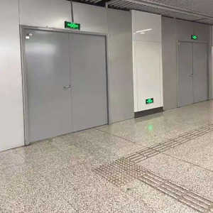 Puertas antiincendios de entrada de acero insonorizadas de Metal Exterior estándar personalizadas Ais para aplicación Puerta de salida de incendios comunal - Product Image 5