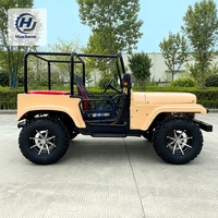 Buggy à essence 250CC avec pare-brise transparent et grandes roues pour la conduite sur les sites de glamping