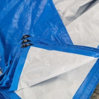 Bâche pliable robuste double face enduite de PE, imperméable, coupe-vent et résistante à l'eau, 100 GSM, style uni, vente chaude