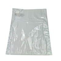 Sac Bag-in-Box transparent stérile de 10 L avec couvercle pour vin de fruits, jus, lait, liquides, sac BIB en aluminium