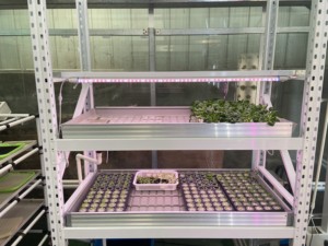 Sistema de Cultivo Hidropónico Multicapa para Forraje, Trigo y Cultivos Aeropónicos, Mesa de Cultivo Vertical Móvil con Sistema de Flujo y Reflujo - Product Image 1