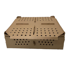 Cajas de Cartón para Transporte de Aves de Corral, Cajas de Cartón para Pollos, Cajas de Cartón para Transporte de Pollitos, Caja de Transporte de Papel para Pollitos - Product Image 5
