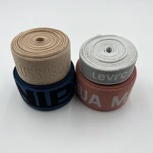 Hualiu Factory Custom Logo Jacquard Web Fabric Elastic Band Nylon Imprint Design Underwear Waistband