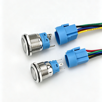 12mm 16mm 19mm 22mm 25mm 30mm IP65 Sakelar Tombol Tekan LED Cincin Bercahaya Elektronik Tahan Air Logam dengan Pengunci dan Mode Momentary