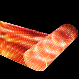 Pantallas LED Transparentes Flexibles para Interiores, Ventanas de Vidrio, Publicidad, Película Transparente LED, Video Mesh LED, Pantalla LED P10 - Product Image 4