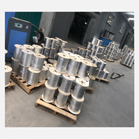 Câble de branchement FTTH 2 fibres GJXH G652D pour réseau domestique