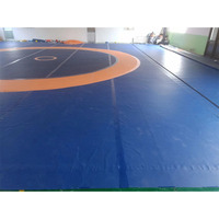 En gros personnalisation grappin dérouler kungfu exercice judo tapis supersafe fitness gym plancher tapis de lutte