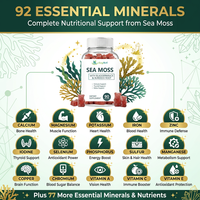 Gummies de mousse de mer à marque privée avec fucus et racine de bardane pour le soutien immunitaire et la santé de la thyroïde