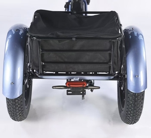 ยางกว้าง 20*4 นิ้ว มอเตอร์ฮับหลัง 48V Brushless 1000W โครงอะลูมิเนียม แบตเตอรี่ลิเธียม รถบรรทุก 7 สปีด เบรกดิสก์ ตะกร้าแบบเร็ว ไฟฟ้า - Product Image 6