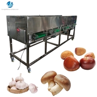 Automatische gatband-type knoflook sorteermachine 4 gradaties 5 gradaties champignons sorteermachine kastanje sorteermachine