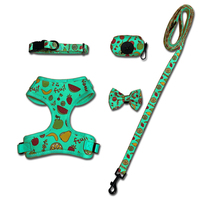 Ensemble Harnais et Laisse pour Chien en Maille Respirante, Motif Fruits Tropicaux, Ensemble 5 Pièces pour Animaux de Compagnie avec Collier, Nœud Papillon et Distributeur de Sacs à Déjections