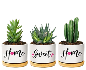Mini <span class=keywords><strong>maceta</strong></span> suculenta de cerámica con bonita bandeja de bambú, soporte para plantas de interior para el jardín del hogar, calentando tu espacio esta <span class=keywords><strong>Navidad</strong></span> - Product Image 1