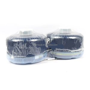 Filtre 453-00-25P2X6 type <span class=keywords><strong>A2P3</strong></span> SL, 2 chaque/sac - Product Image 5