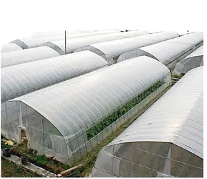 Low Price Hot Sale Greenhouse Plastic Material Vegetables Growing Agricultural Greenhouse Tunnel Greenhouse