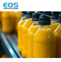 Ligne de Production et de Conditionnement Industrielle de Taille Moyenne pour la Fabrication et le Remplissage de Jus de Fruits (Mangue, Pomme, Pastèque)