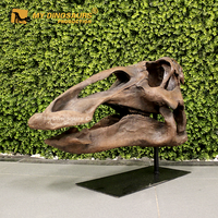 Tête de dinosaure fossile haute simulation My Dino DS-131 pour exposition muséale, à vendre