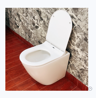 Ensemble WC monobloc en céramique à double chasse à gravité, réservoir dissimulé, installation P-Trap S-Trap, garantie 5 ans