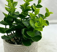 Plantes vertes artificielles en PE en pot, écologiques, résistantes aux UV, persistantes, pour la décoration de mariages, fêtes, bureaux, maisons, et de bureaux à domicile, lot de plusieurs pièces