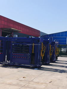 Dispositivos de Contención para Ganado, Utilizados para Asegurar el Control de Ganado Vacuno <span class=keywords><strong>y</strong></span> Avícola para Inspección <span class=keywords><strong>y</strong></span> Gestión por Grupo. - Product Image 5