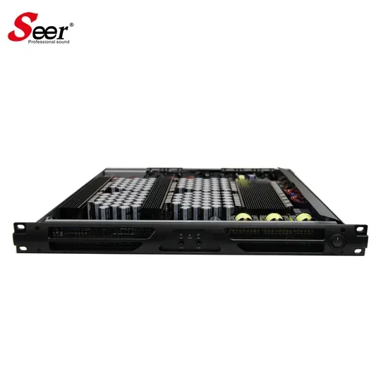 Seer CA-2.1S 2-Channel Class D Professional Power Amplifier 2x1000W 2-8 Impedance Rack Mount Metal Chassis for Venues