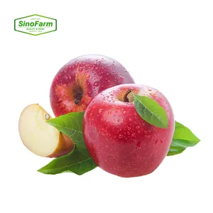 Импорт яблока из Китая, красный поставщик яблок Фудзи, лидер продаж яблоко Фудзи по самой низкой цене